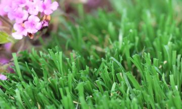 Artificial Grass Emerald-52