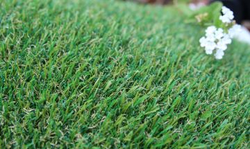 Artificial Grass Petgrass-55