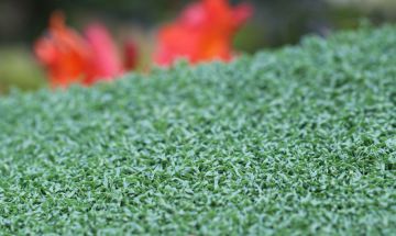 Artificial Grass Putt-40 Emerald