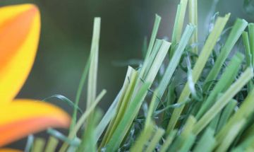 Artificial Grass S Blade-90 Green on Green