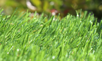 Artificial Grass Spring-46