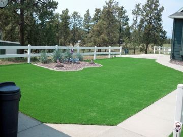 Installing Artificial Grass Madison, Wisconsin