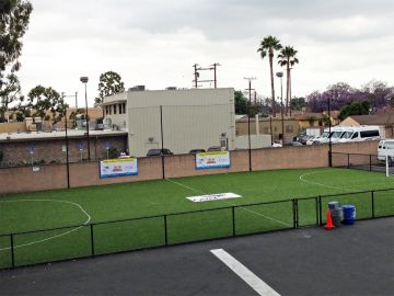 Artificial Grass Installation Winston-Salem, North Carolina