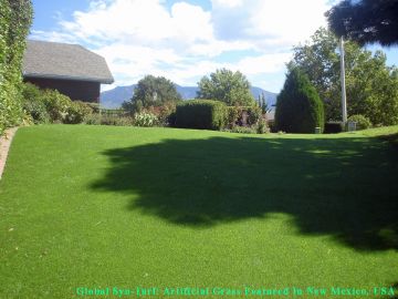 Grass Carpet Borough of Bronx, New York