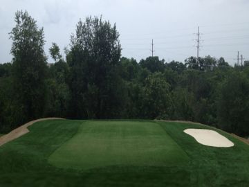 Faux Grass The Woodlands, Texas