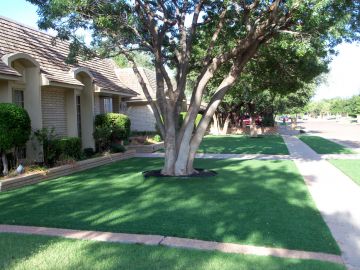 Artificial Grass Installation Davie, Florida