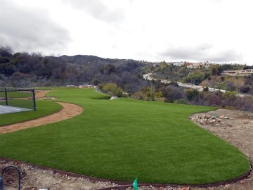 Artificial Grass Edinburg, Texas