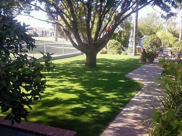 Grass Carpet Evanston, Illinois