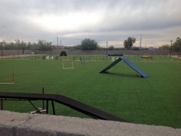 Best Artificial Grass Missouri City, Texas