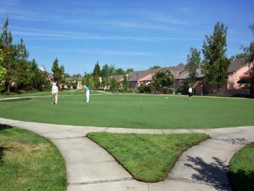 Best Artificial Grass Dale City, Virginia