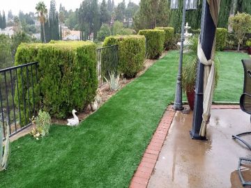 Turf Grass Bossier City, Louisiana