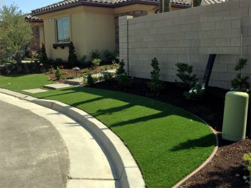 Best Artificial Grass Palm Harbor, Florida