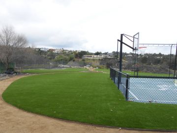 Synthetic Turf Staten Island, New York