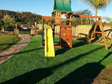 Synthetic Grass Cost Virginia Beach, Virginia