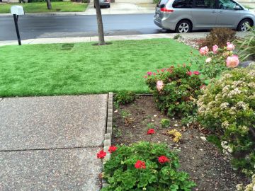 Synthetic Grass Cost Ashburn, Virginia