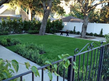 Fake Grass Carpet Leesburg, Virginia