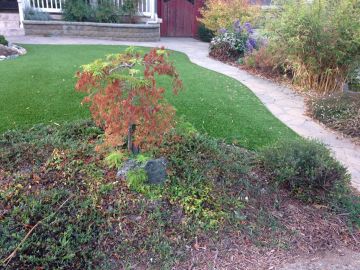 Faux Grass Harrisonburg, Virginia