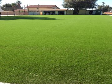 Fake Grass Carpet Mansfield, Ohio