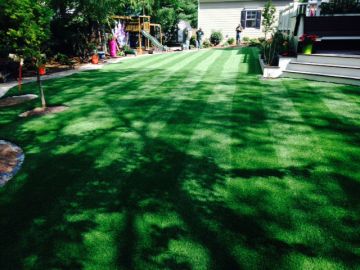 Synthetic Turf Supplier Weslaco, Texas