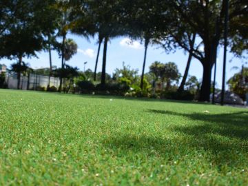 Turf Grass Commack, New York