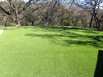 Synthetic Turf Lincoln Park, Michigan