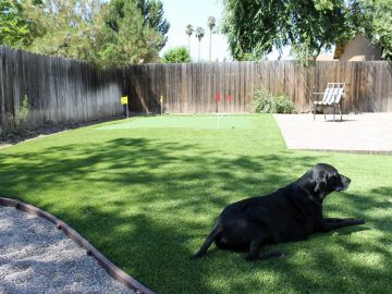 Synthetic Turf Supplier Puyallup, Washington