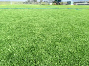 Synthetic Turf Florence, South Carolina