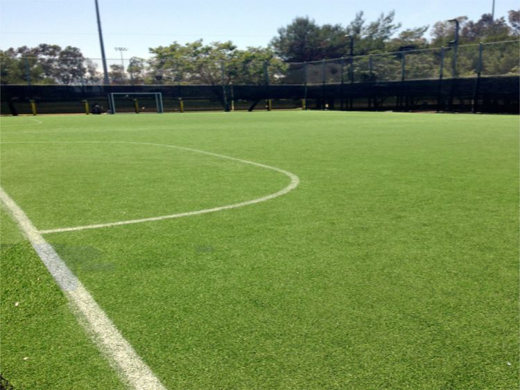 Turf Grass Metairie Terrace, Louisiana