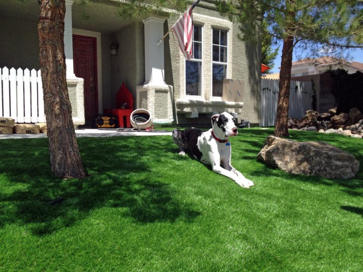 Artificial Turf Installation League City, Texas