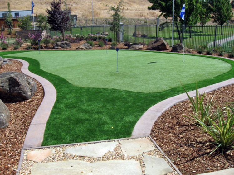 Best Artificial Grass Gulfport, Mississippi