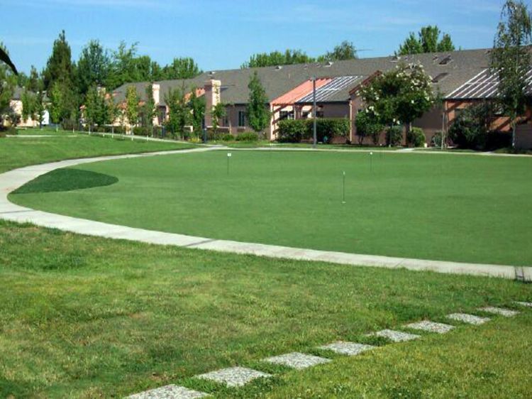 Grass Carpet Framingham Center, Massachusetts