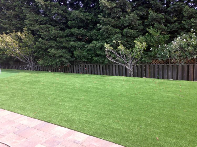 Best Artificial Grass Royal Oak, Michigan