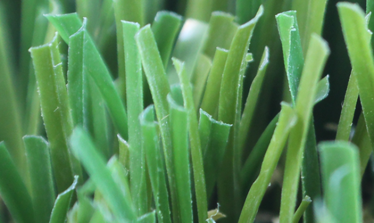 Excellent Artificial Turf artificial grass, synthetic grass, fake grass