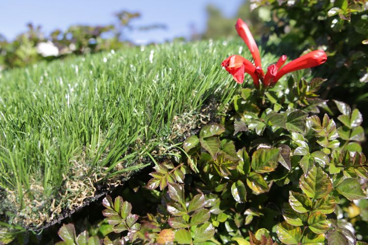 Best Artificial Grass artificial grass, synthetic grass, fake grass