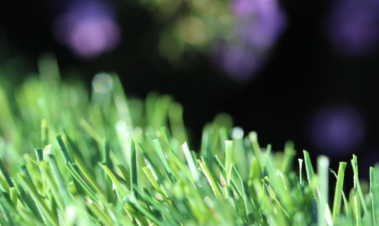 Beautiful Synthetic Grass artificial grass, synthetic grass, fake grass