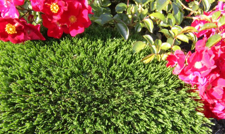 Hollow Blade-73 Artificial Grass artificial grass, synthetic grass, fake grass