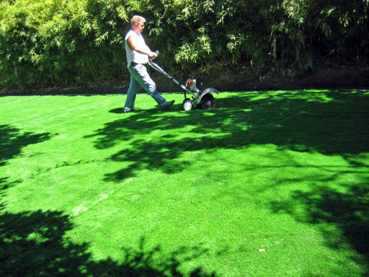 Turf Grass Port Arthur, Texas