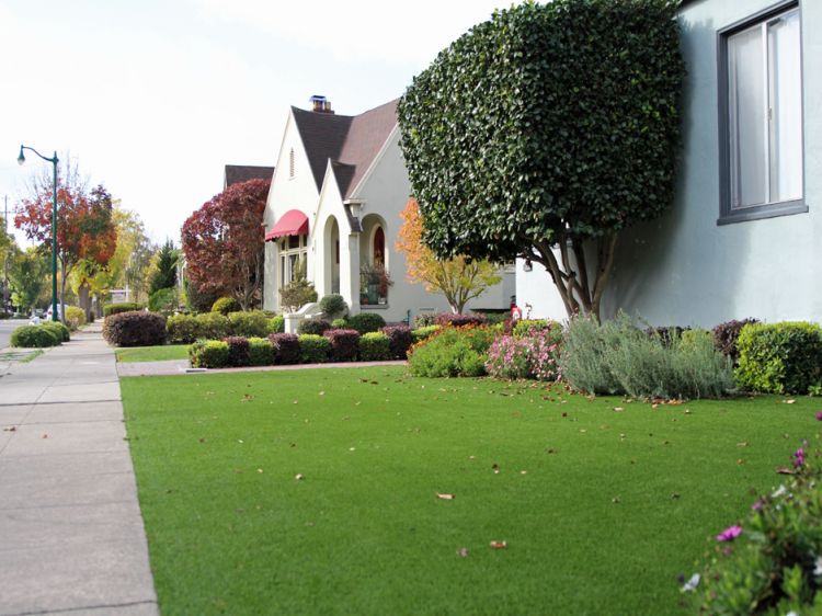 Grass Carpet Kannapolis, North Carolina