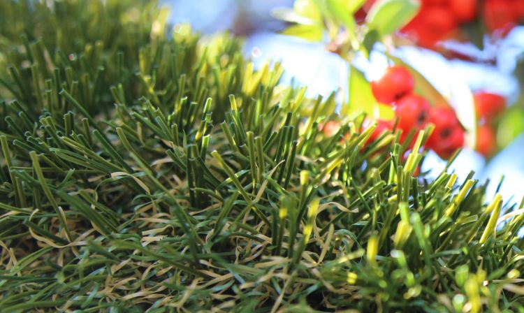 Artificial Turf Best Grass artificial grass, synthetic grass, fake grass