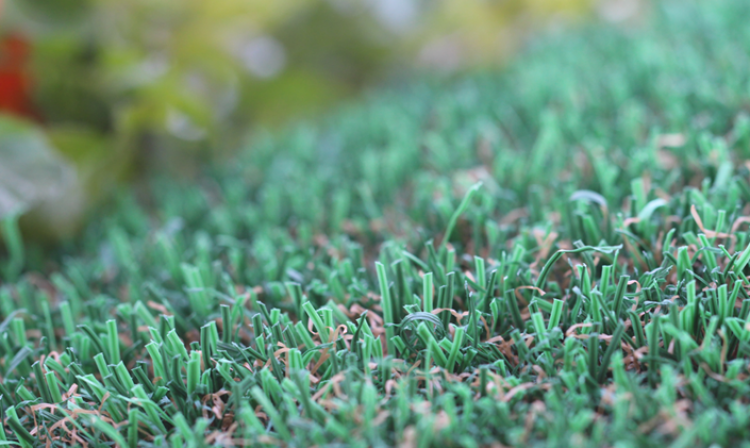 Dog Turf artificial grass, synthetic grass, fake grass