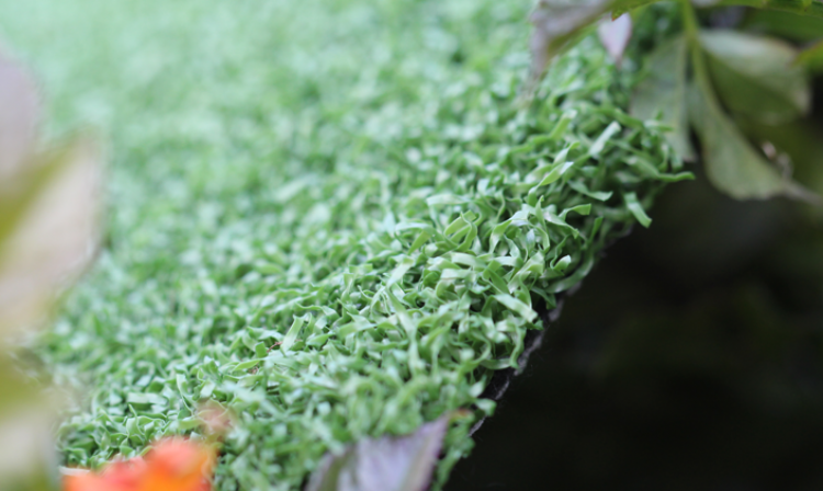 Putting Greens Indoor artificial grass, synthetic grass, fake grass