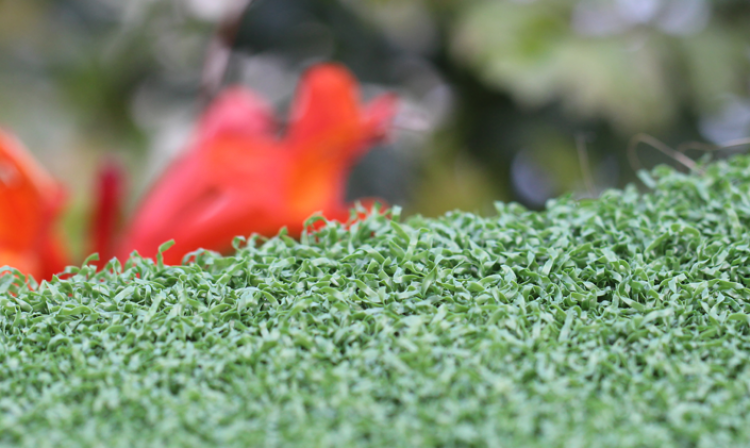 Backyard Putting Green artificial grass, synthetic grass, fake grass