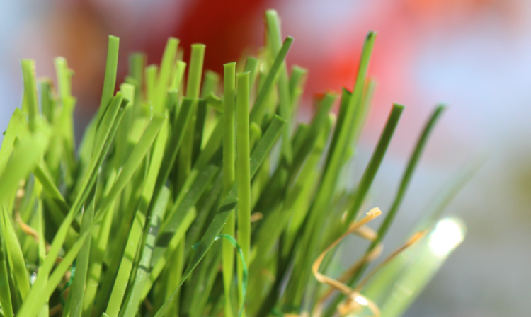 Deals On Artificial Grass artificial grass, synthetic grass, fake grass