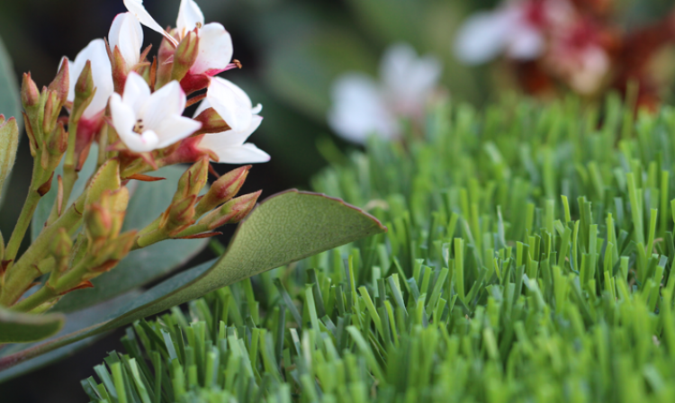 Synthetic Grass For Pools artificial grass, synthetic grass, fake grass