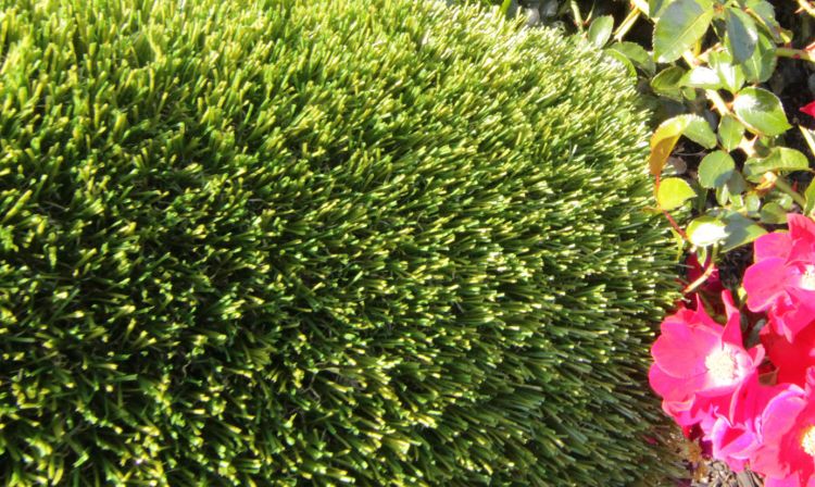 V Blade-77 Artificial Grass artificial grass, synthetic grass, fake grass
