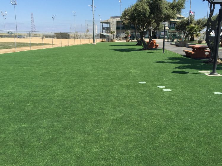Synthetic Grass Cost Merrillville, Indiana