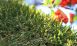 Artificial Turf Best Grass