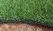 Artificial Grass Dog & Pet Products