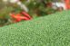 Putting Green Turf