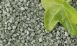 Green Sand Artificial Grass